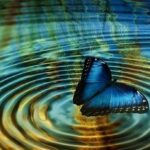 اثر پروانه‌ای در حکمرانی کشاورزی